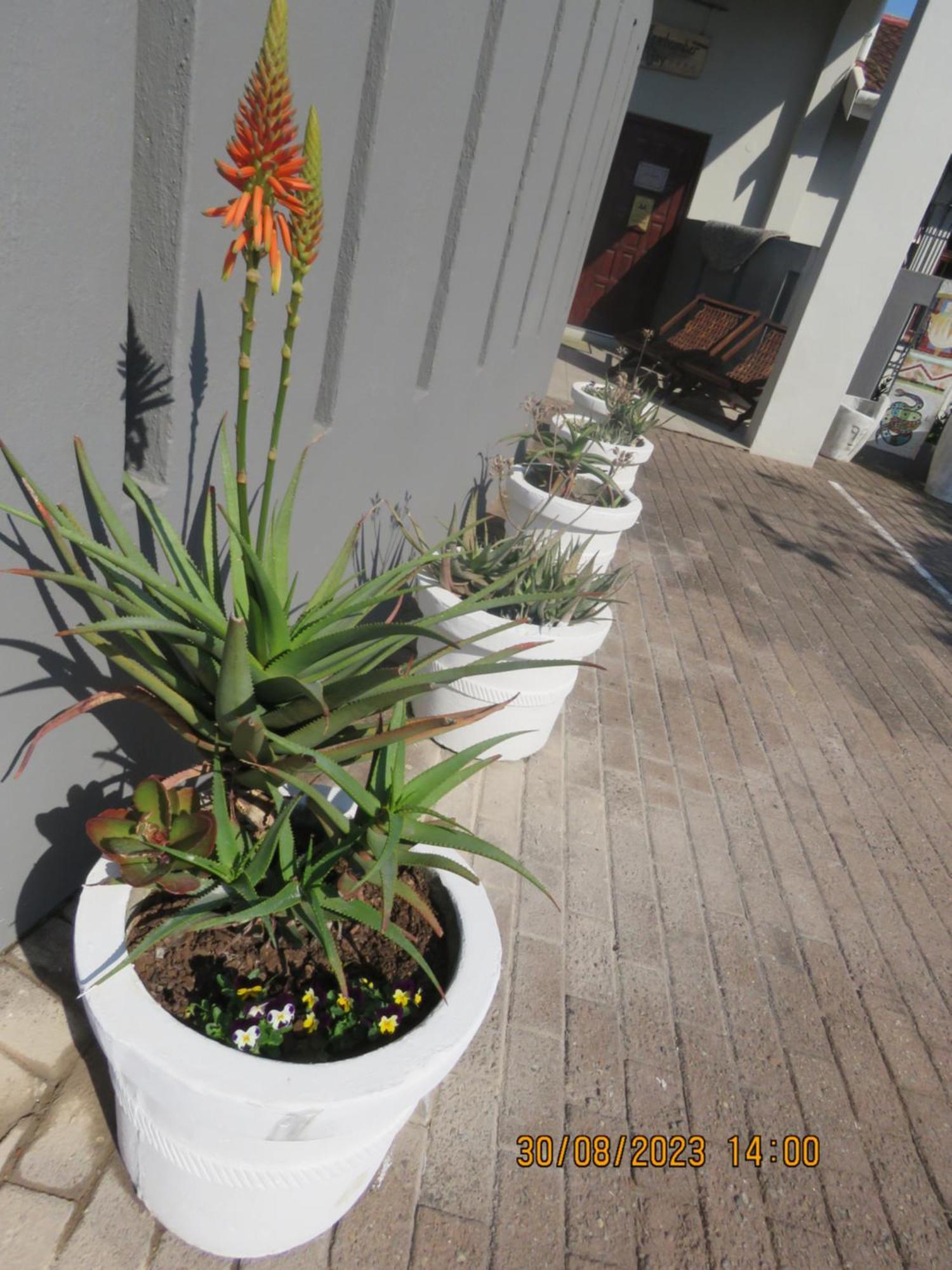 Beachcomber Bay Guest House In South Africa Margate Luaran gambar