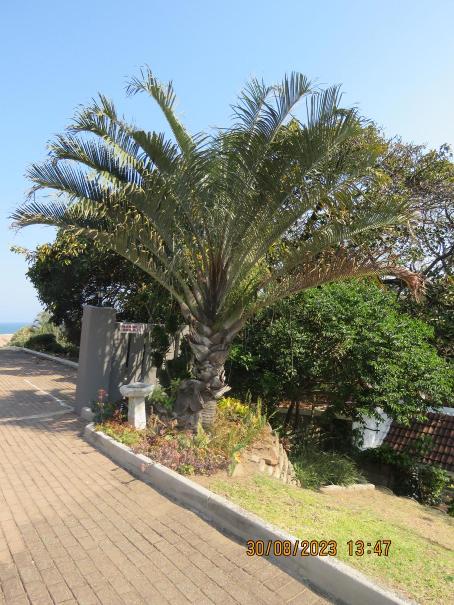 Beachcomber Bay Guest House In South Africa Margate Luaran gambar